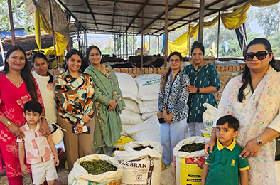 Rotary Club Anniversaries members through Gau Seva.
